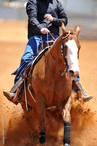 The front view of the rider in leather chaps sliding his horse forward and raising up the clouds of dust © PROMA