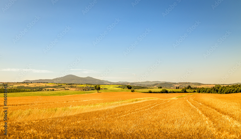Tuscan scenery