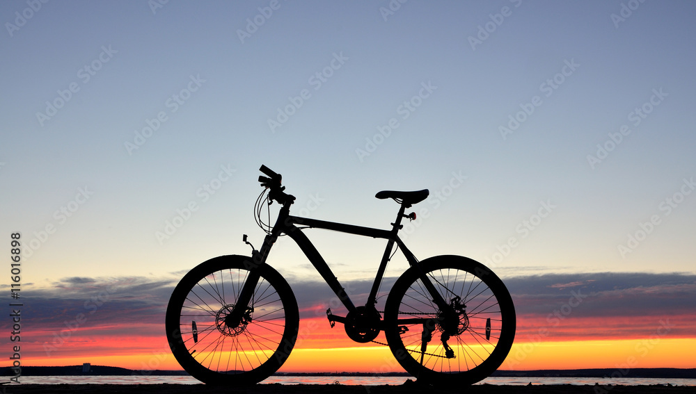 Fototapeta premium Bicycle against a sunset