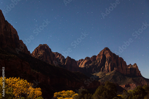 Moonlit Landscape Zion National Park at Night