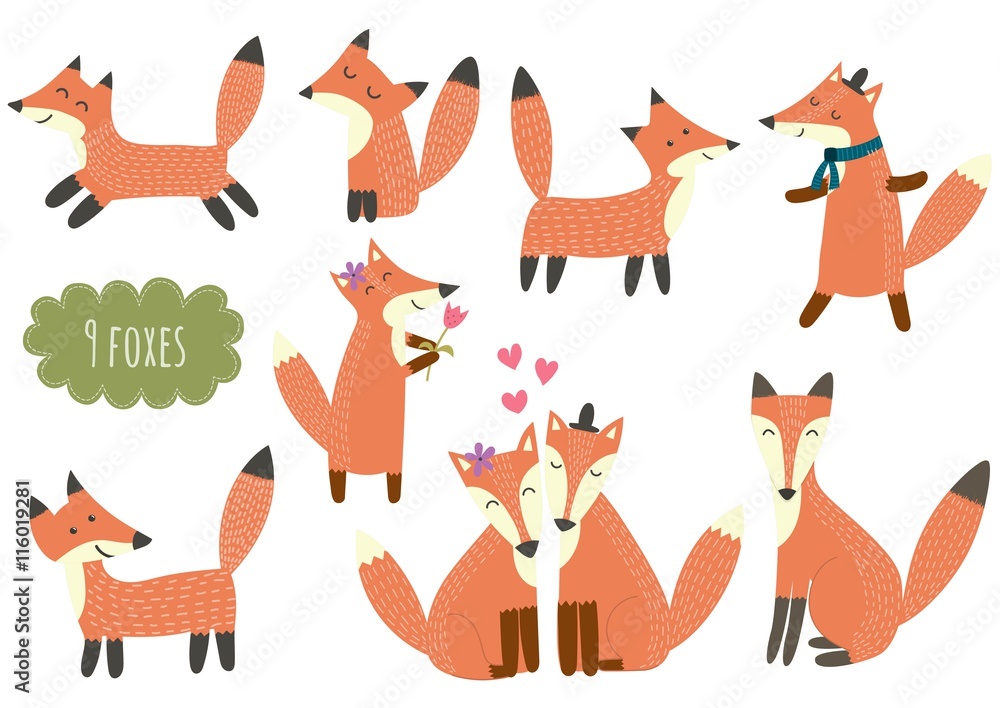 Cute foxes collection