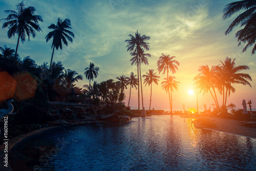 Sunset on the tropical coast, the silhouettes of the palm trees and pool.