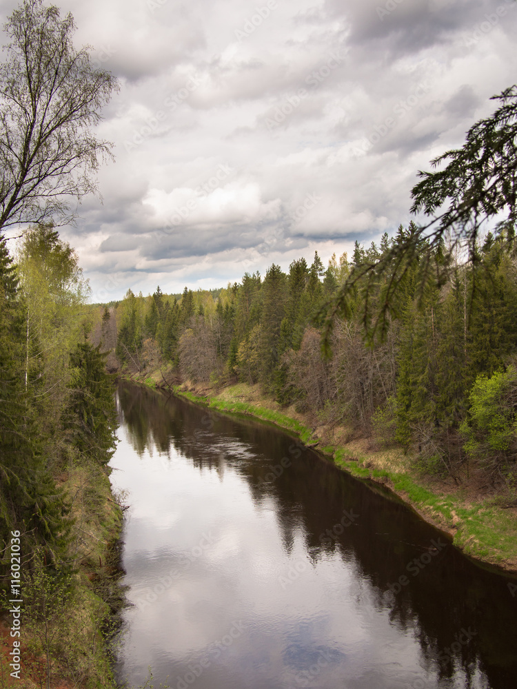 Wide river with pine forest on the sky background Wide river with pine forest on the sky background