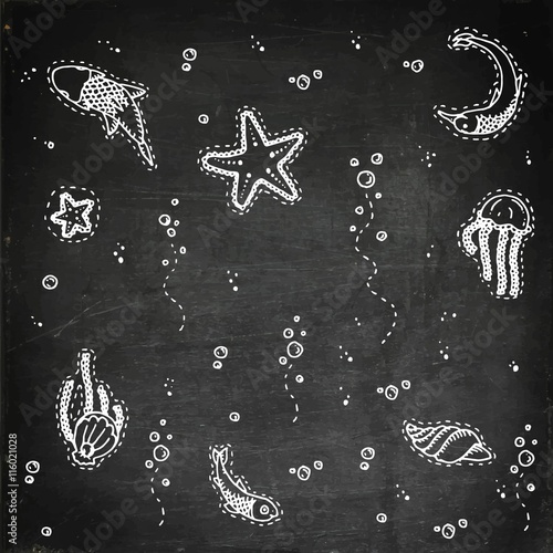 Sea underwater creatures