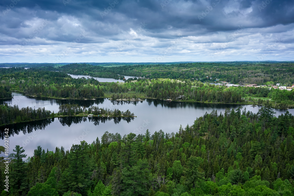 contryside ontario canada nature aerial view of the forest