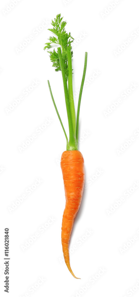 Carrot isolated on white Carrot isolated on white
