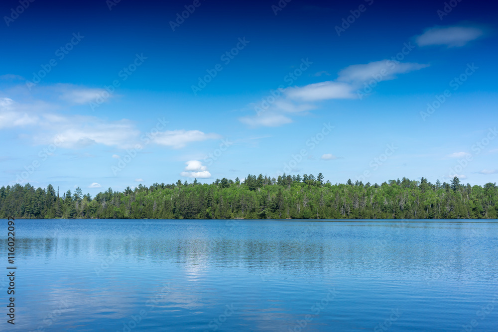 contryside ontario canada nature sunny day on the lake