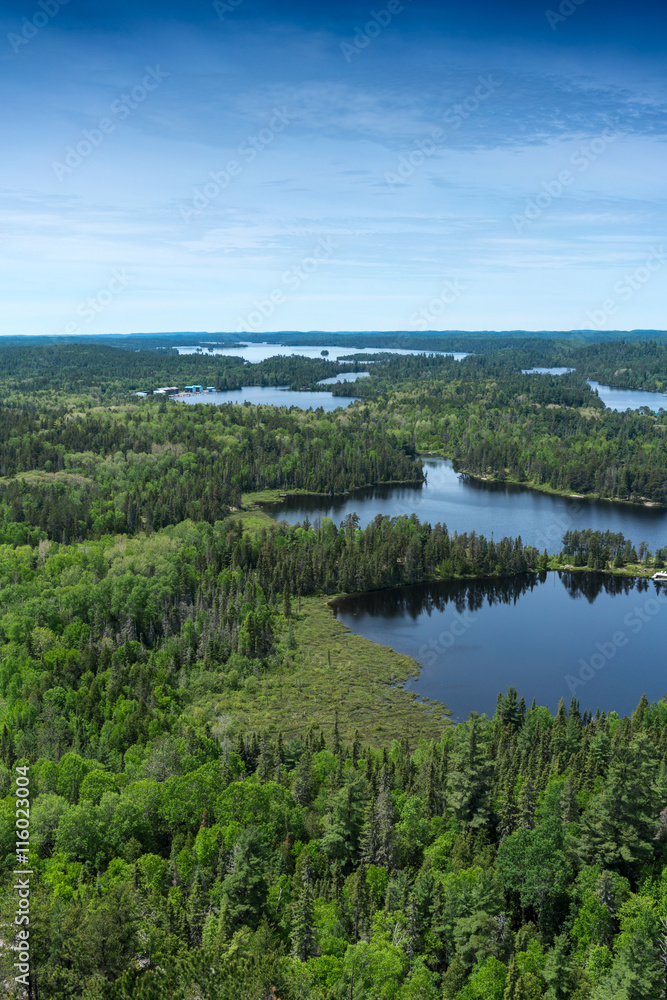 contryside ontario canada nature aerial views lake forest