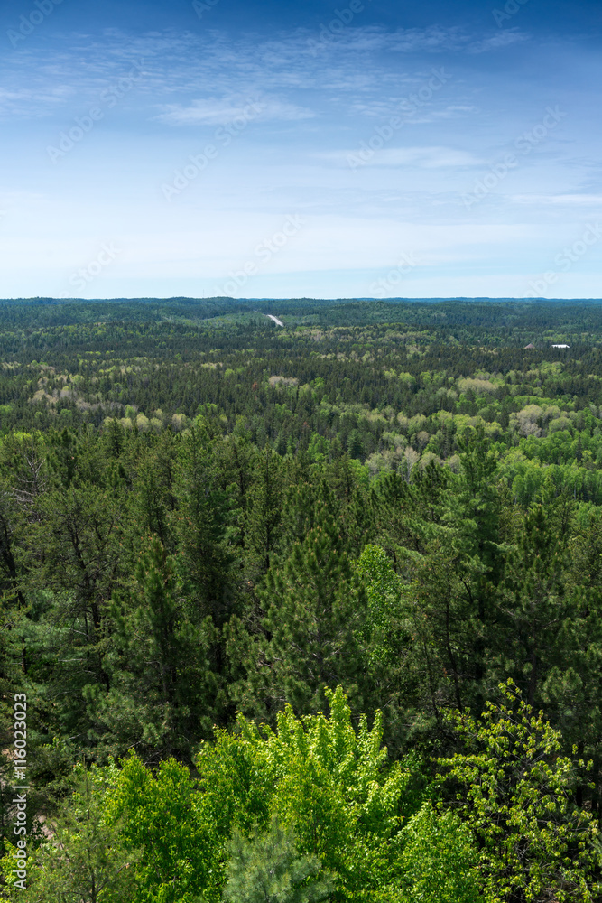 Fototapeta premium contryside ontario canada nature aerial views lake forest
