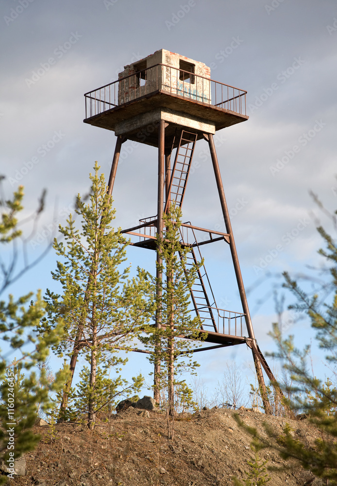 The thrown watchtower in a wood
