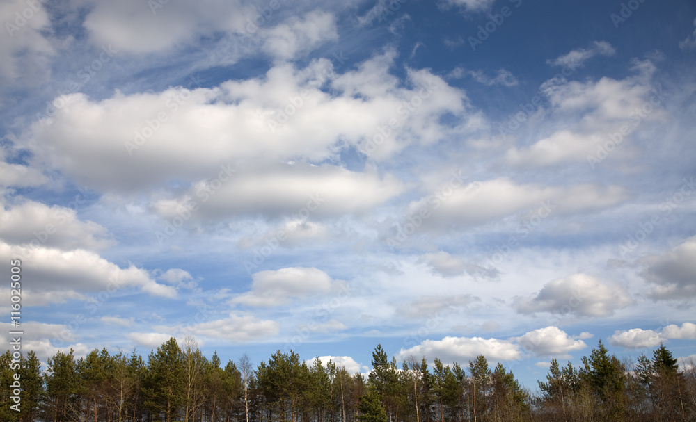 Clouds above a wood Clouds above a wood