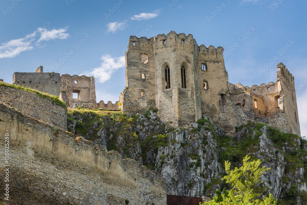 Castle Beckov, Slovakia Castle Beckov, Slovakia