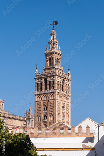 Giralda Tower of the Seville Cathedral photo