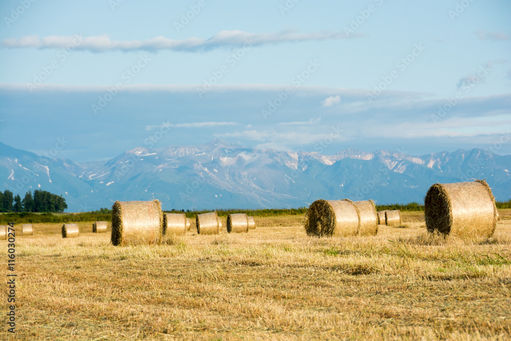 Fototapeta premium 牧草ロールと夏の山並み