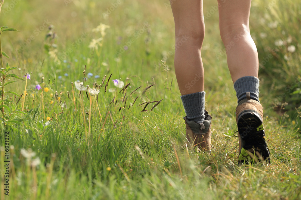 young woman hiker legs walking on trail in grassland young woman hiker legs walking on trail in grassland