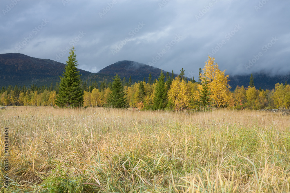 Autumn landscape Autumn landscape