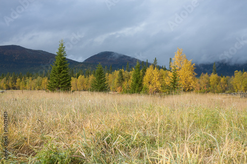 Autumn landscape