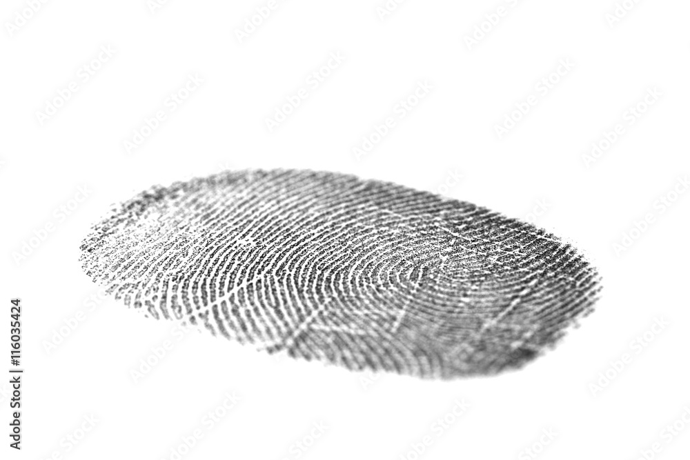 Black fingerprint isolated on white Black fingerprint isolated on white