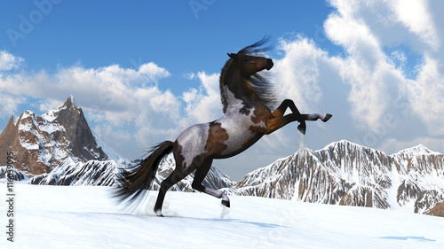 Horse against mountains