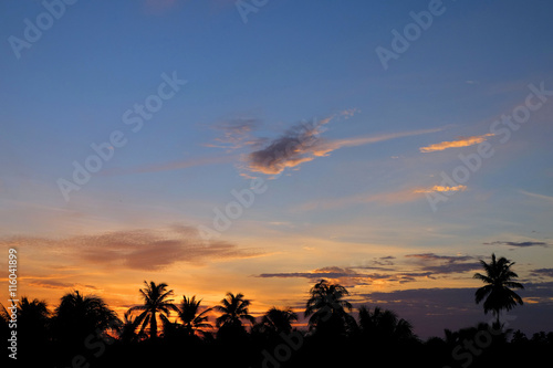 Silhouette of coconut tree in the sunrise