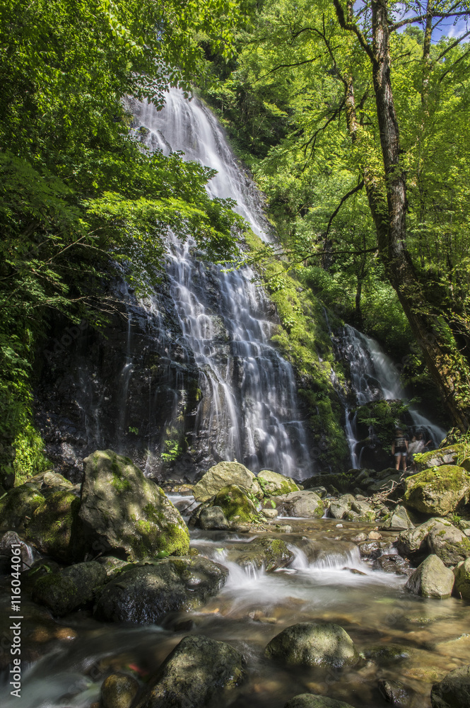 Fototapeta premium Wodospad skąpany w słońcu (Ryusoga Falls)