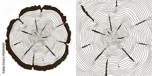 Tree growth rings, saw trunk cuts . Wooden tree rings or incision trunk of tree. Vector illustration