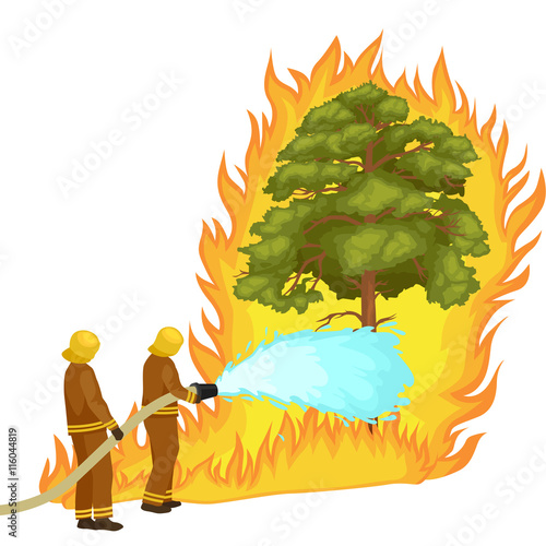 Firefighters in protective clothing and helmet with helicopter extinguish with water from hoses dangerous wildfire.Man fighter and rescue helicopter put out the fire in forest landscape damage vector