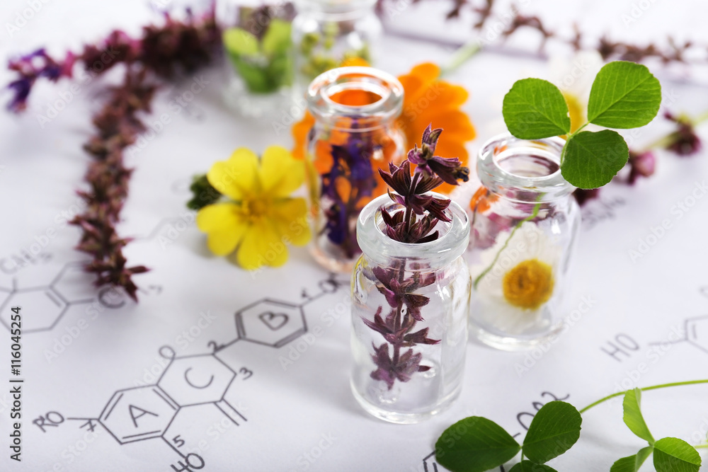 Different healing flowers in small glass bottles on paper with chemistry formula
