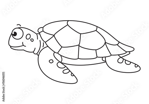 cartoon sea turtle, vector