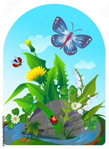 3vector summer illustration  insect 2 photo