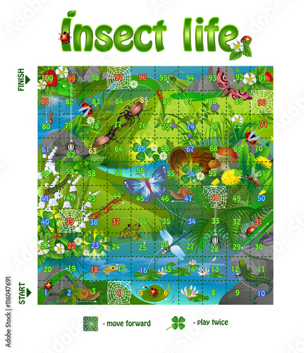 board game  insect life 3