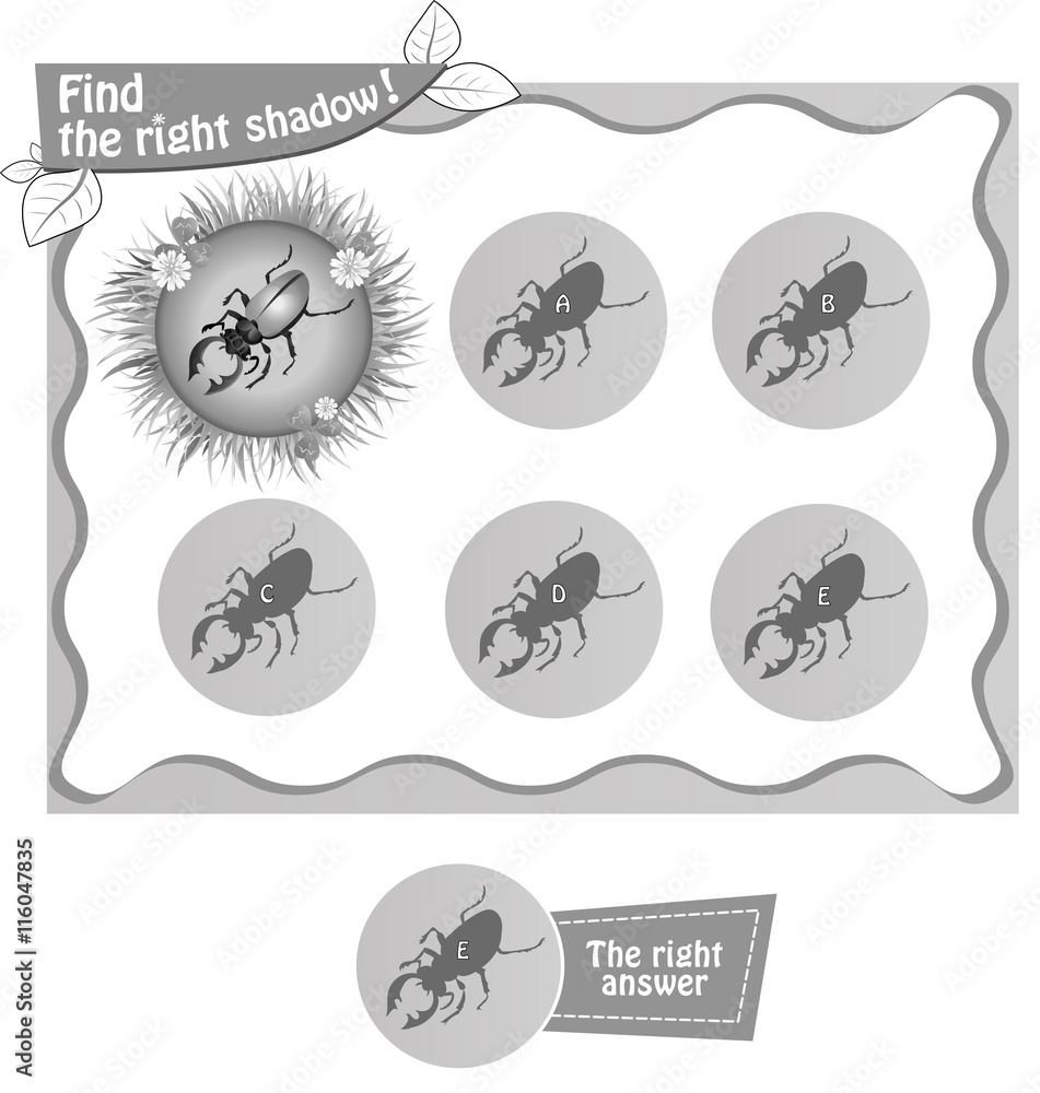 find right shadow beetle bv find right shadow beetle bv