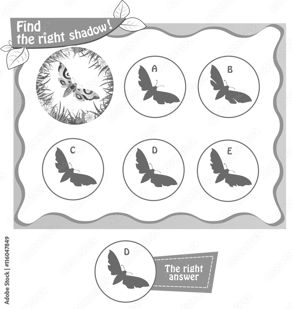 find right shadow butterfly bv find right shadow butterfly bv