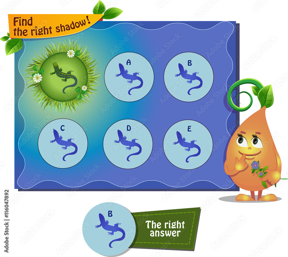 find right shadow lizard on a meadow