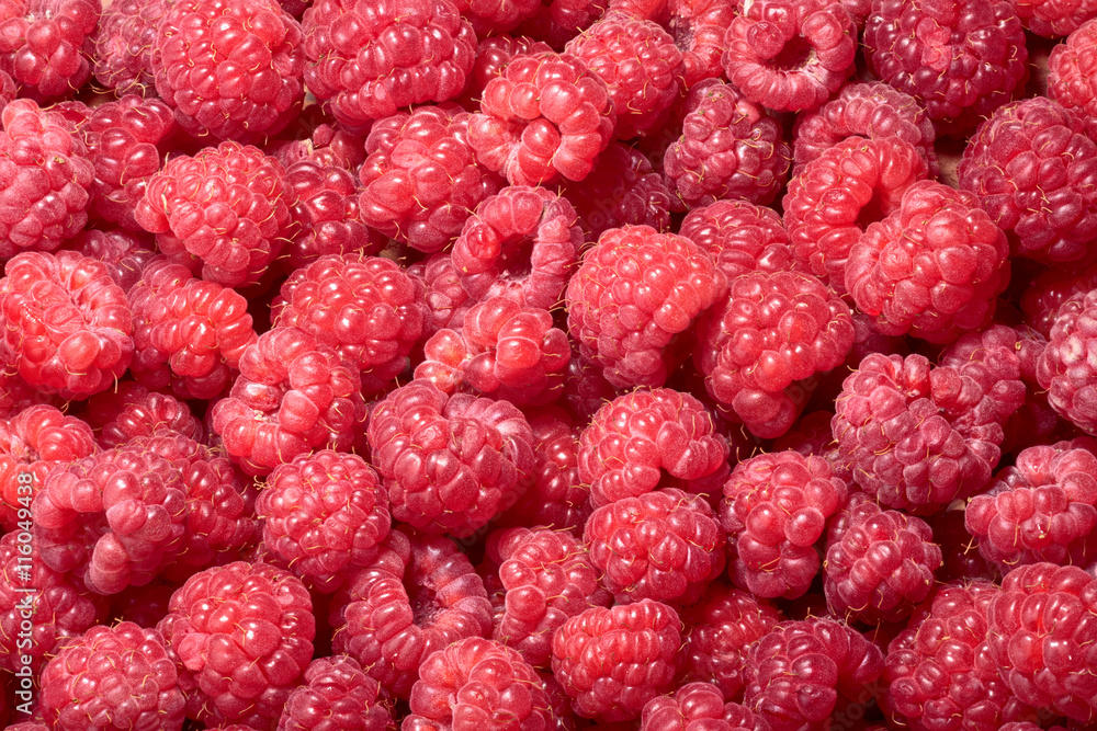 Raspberry (Rubus idaeus) background Raspberry (Rubus idaeus) background