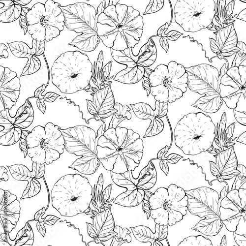 Vector seamless pattern with hand drawn bindweed flowers. © natality