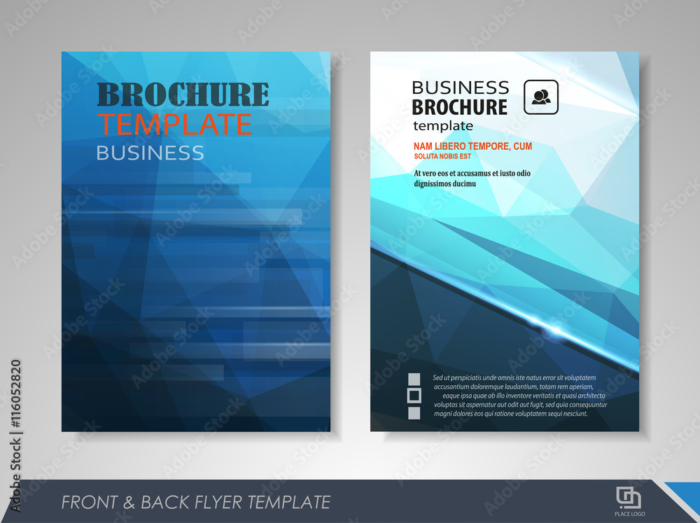 Fototapeta premium Presentation flyer