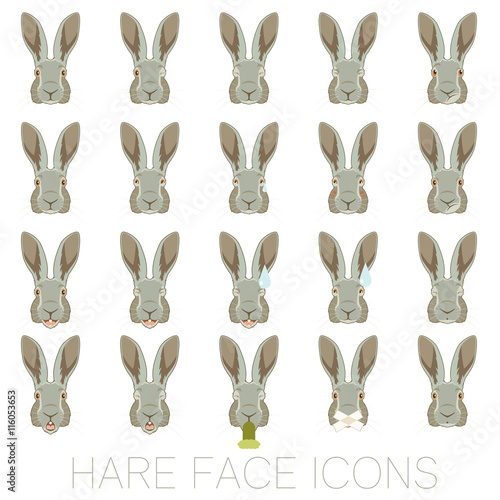Set of Hare faces