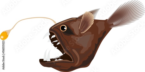 Deep water electrical fish vector illustration