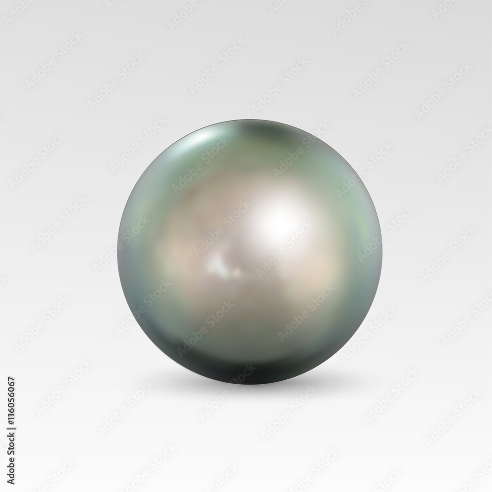 Obraz premium Pearl realistic isolated on white background