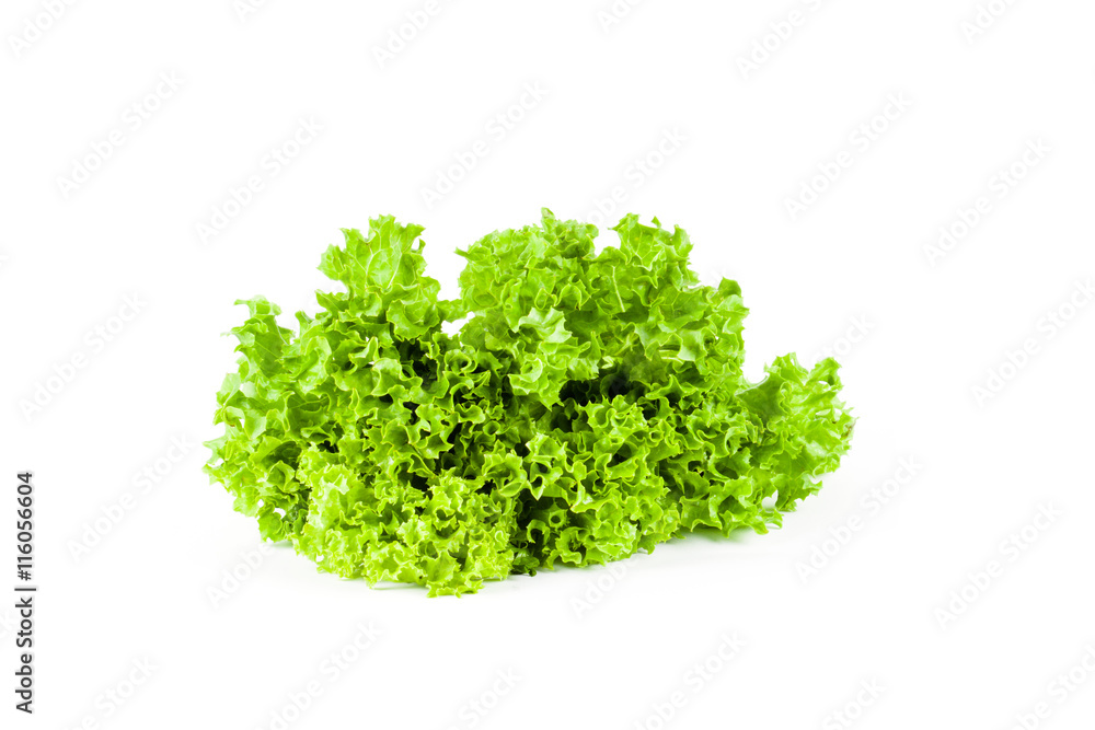 Lettuce isolated on white background Lettuce isolated on white background