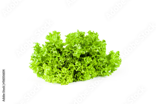 Lettuce isolated on white background