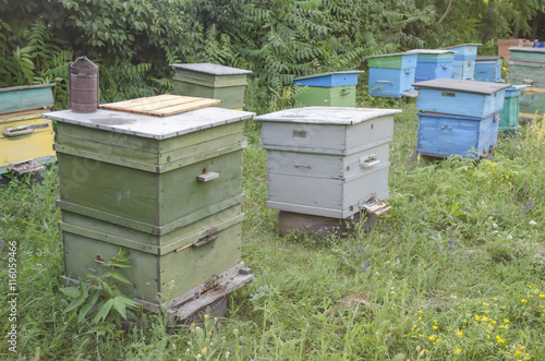 bee proofs with honey on an apiary © ncikname