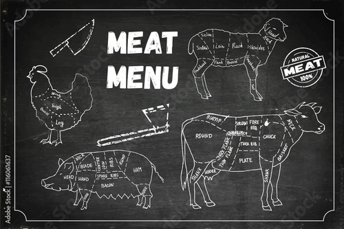 Meat menu. Set of  symbols, beef, pork, chicken, lamb. Vector Illustration