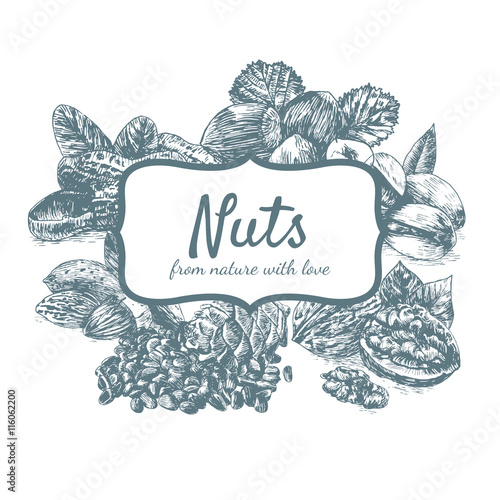Vector illustration monochrome frame with nuts