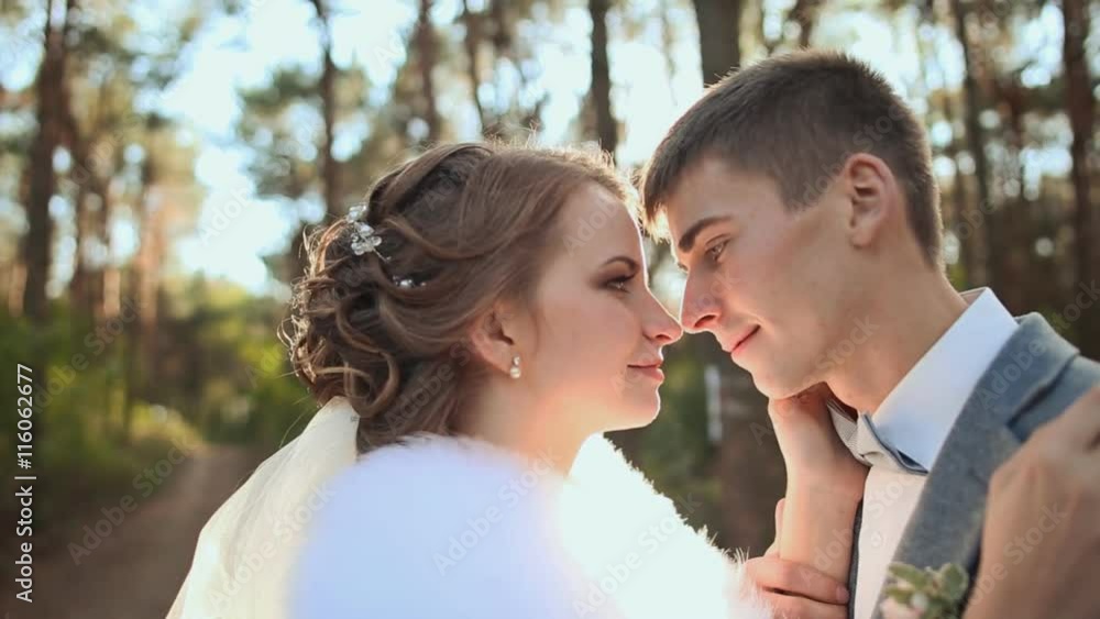 Wedding. Beautiful couple kissing in the sun. Wedding. Beautiful couple kissing in the sun.