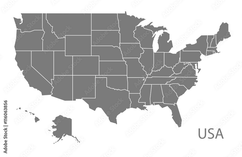 USA Map with federal states grey
