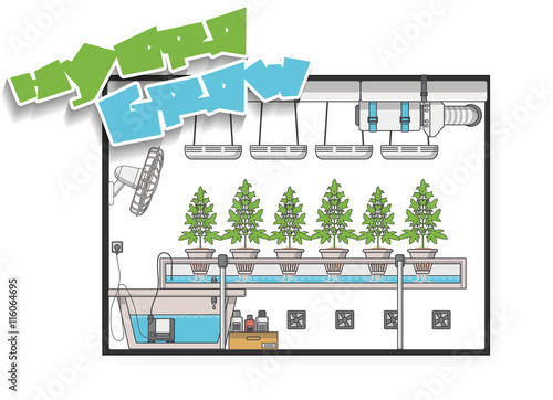 Medical Marijuana Hydroponics Grow Concept Vector in Flat Design.

