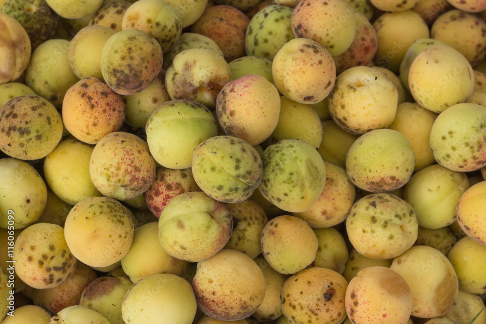 background apricot wrinkled dirty and beaten background apricot wrinkled dirty and beaten