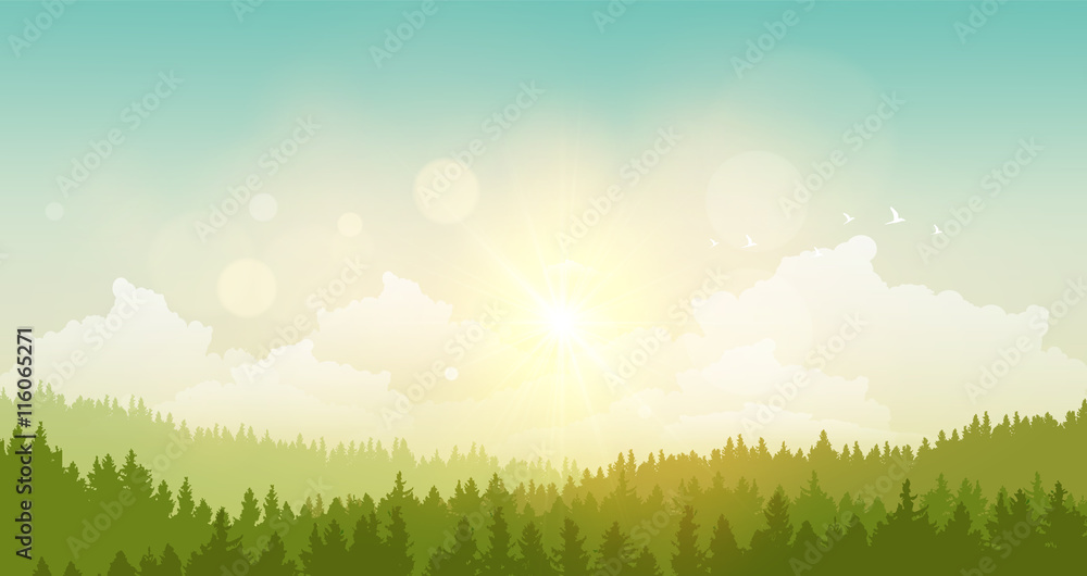 vector illustration of green landscape of sunny morning.

